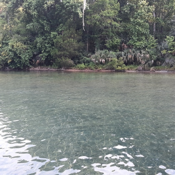 Meet your Posher, Joshua - Picture 1 of 1